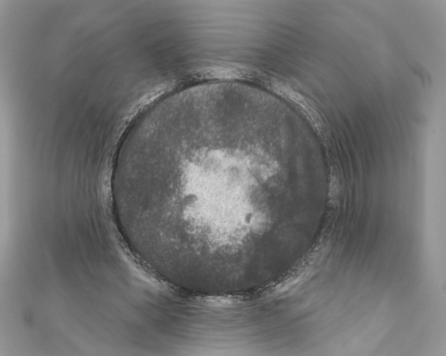 X0000111640394200908281202