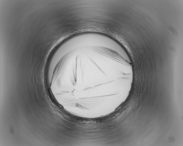X0000111640395200908281202