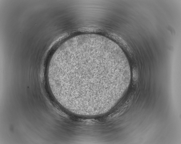 X0000111640396200908281202