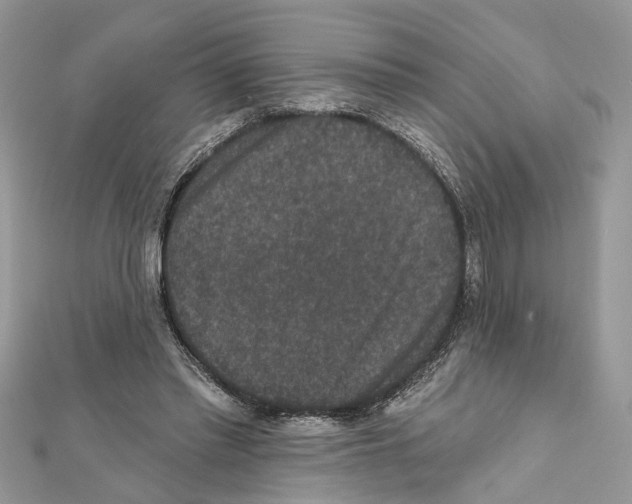 X0000111640397200908281202