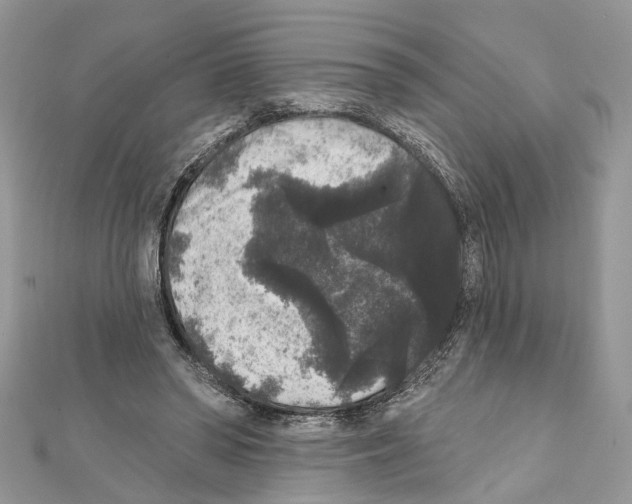 X0000111640398200908281202