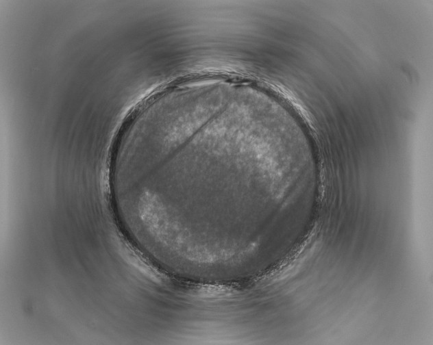 X0000111640399200908281202