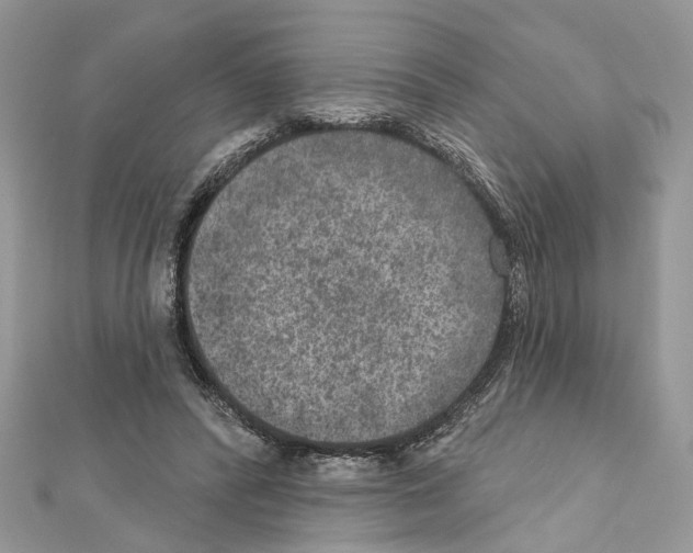 X0000111640400200908281202