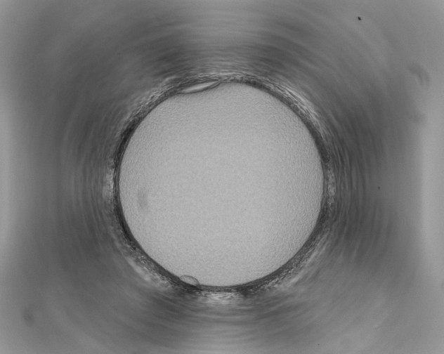 X0000111640401200908281202