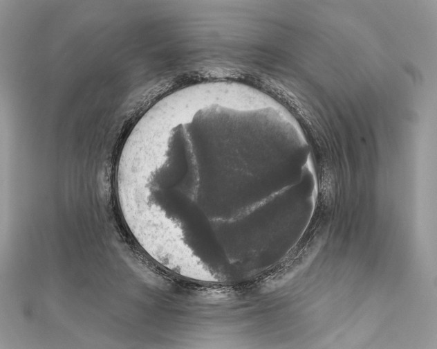 X0000111640402200908281202