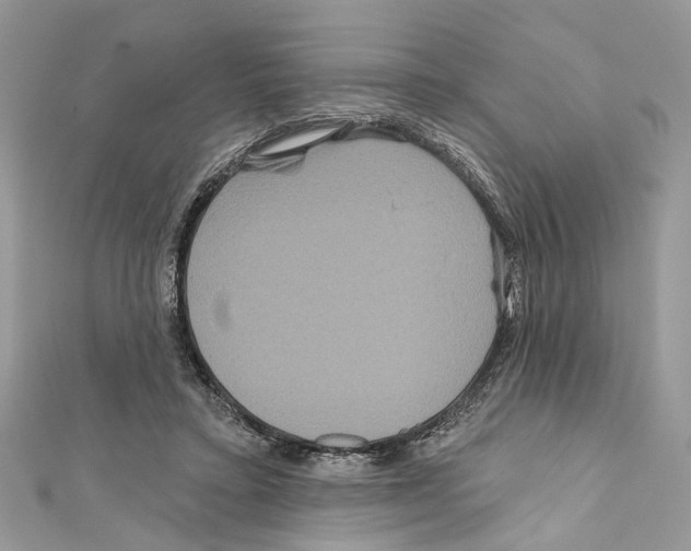 X0000111640403200908281202