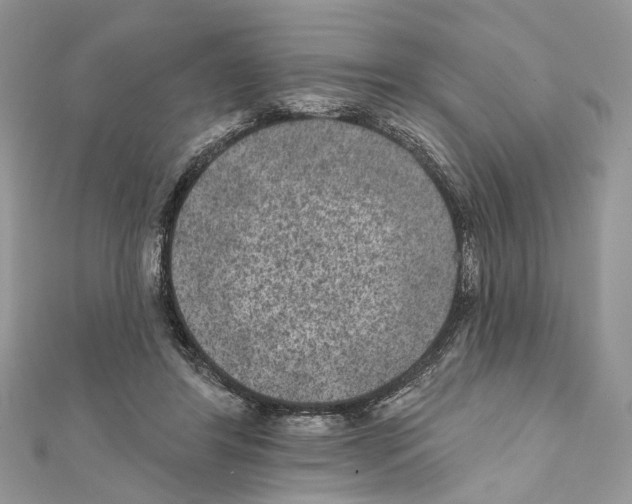 X0000111640404200908281202