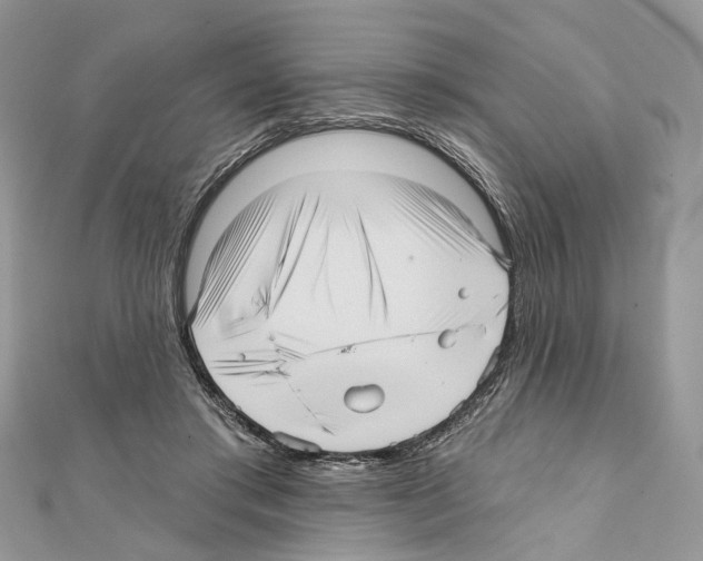 X0000111640405200908281202