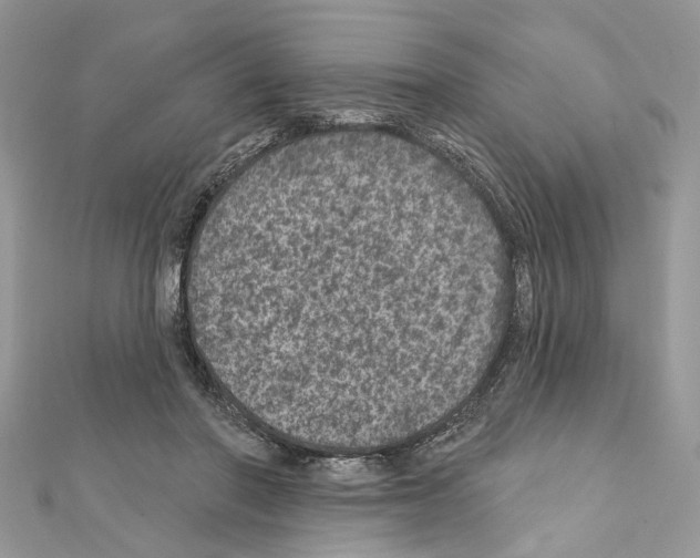 X0000111640406200908281202