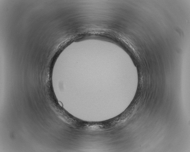 X0000111640407200908281202