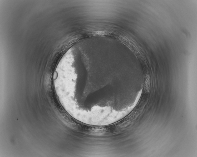 X0000111640410200908281202