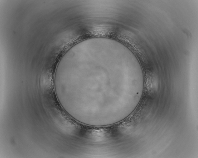 X0000111640411200908281202
