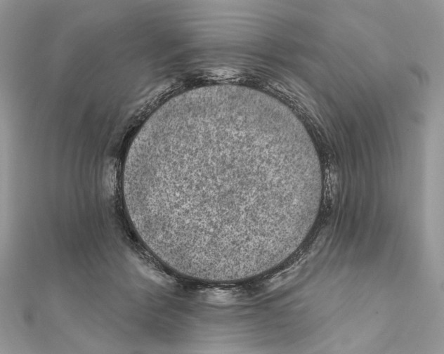 X0000111640412200908281201