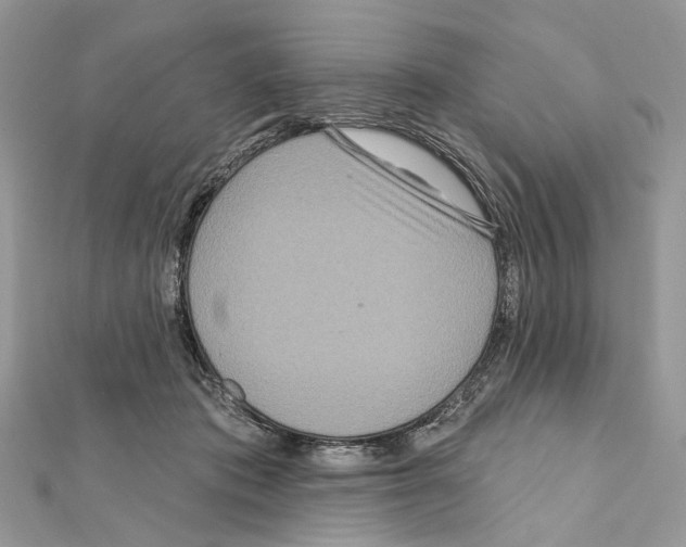 X0000111640413200908281201