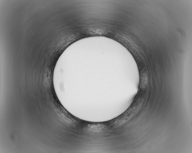 X0000111640414200908281201