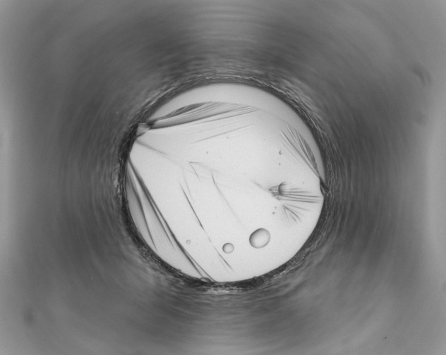 X0000111640415200908281201