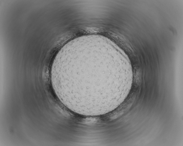 X0000111640418200908281201