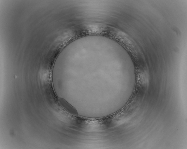 X0000111640419200908281201