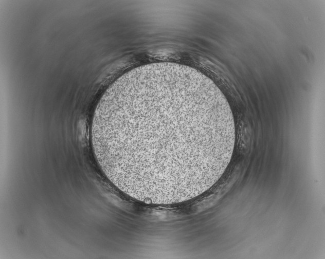 X0000111640420200908281201