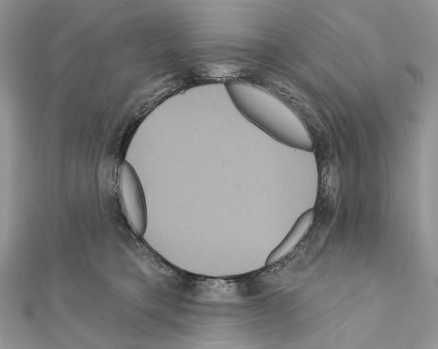 X0000111640421200908281201