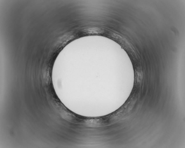 X0000111640422200908281201