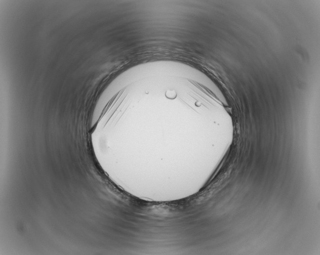 X0000111640423200908281201