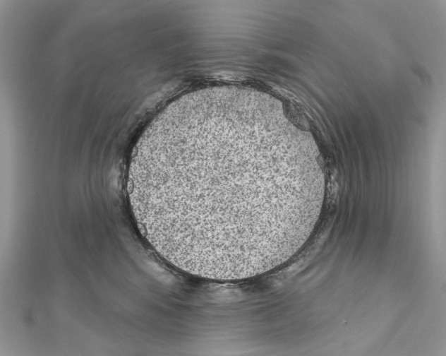 X0000111640424200908281201