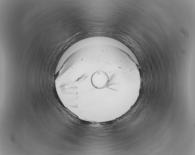 X0000111640425200908281201