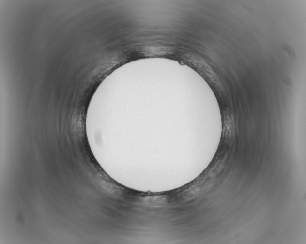 X0000111640426200908281201