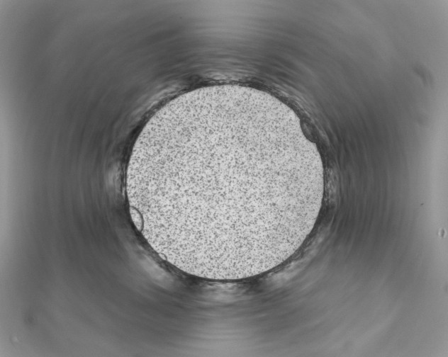 X0000111640428200908281201