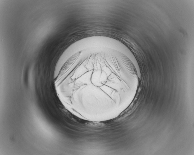 X0000111640429200908281201