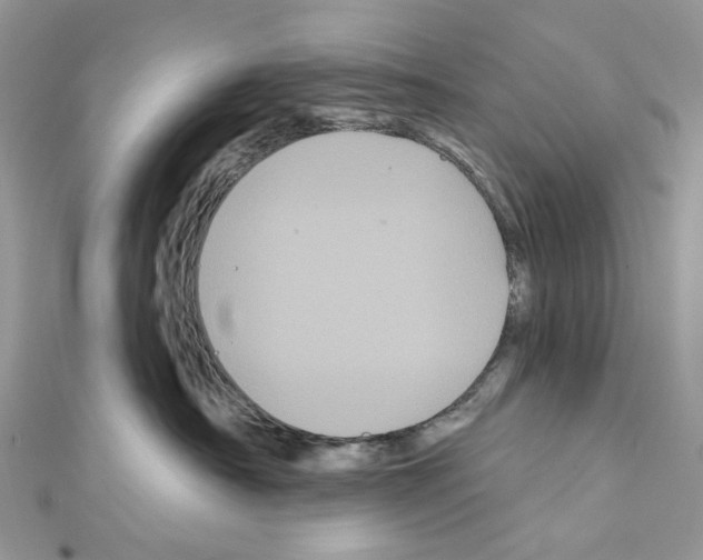 X0000111640430200908281201