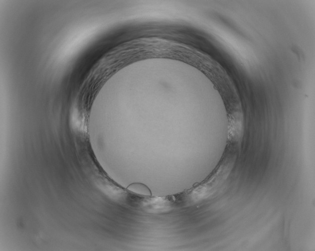 X0000111640431200908281201