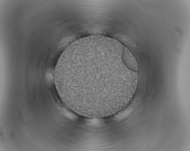 X0000111640432200908281201
