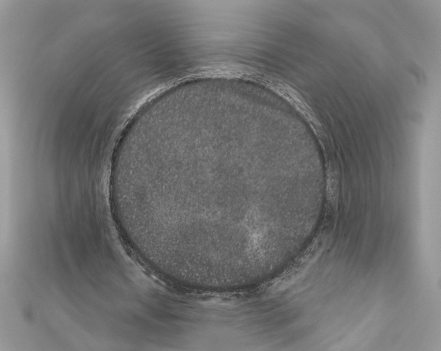 X0000111640434200908281201