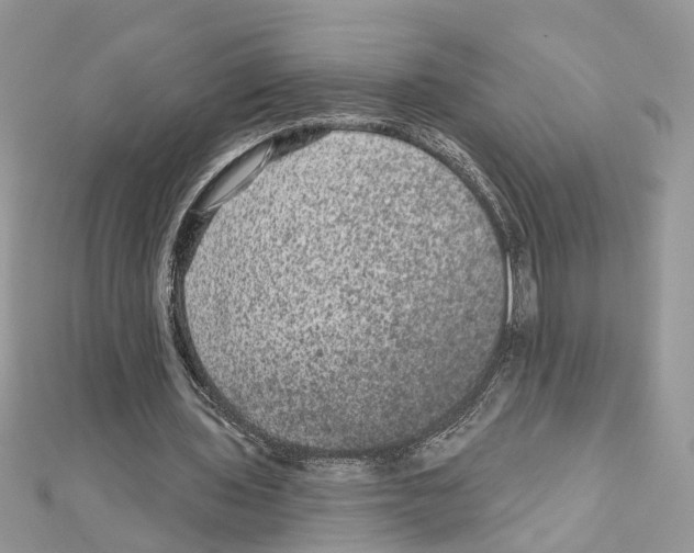 X0000111640435200908281201
