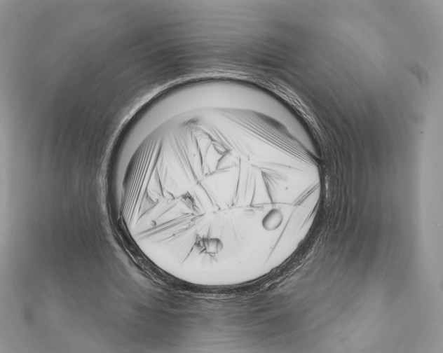 X0000111640436200908281201