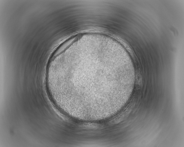 X0000111640437200908281201