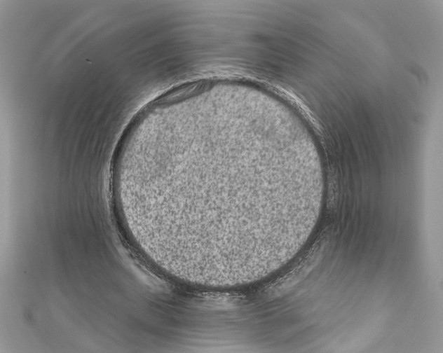 X0000111640439200908281201
