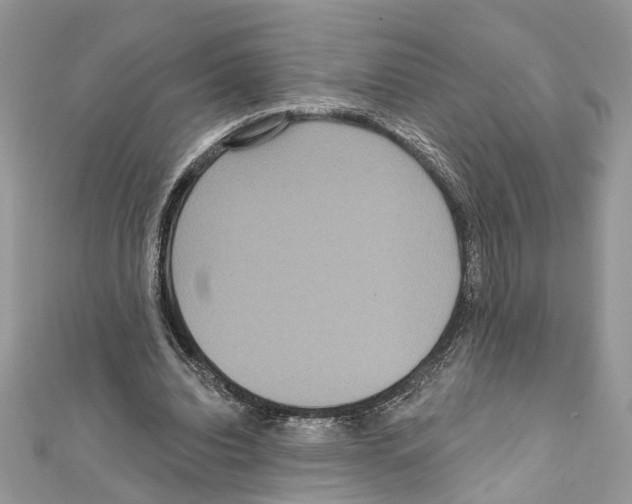 X0000111640440200908281201