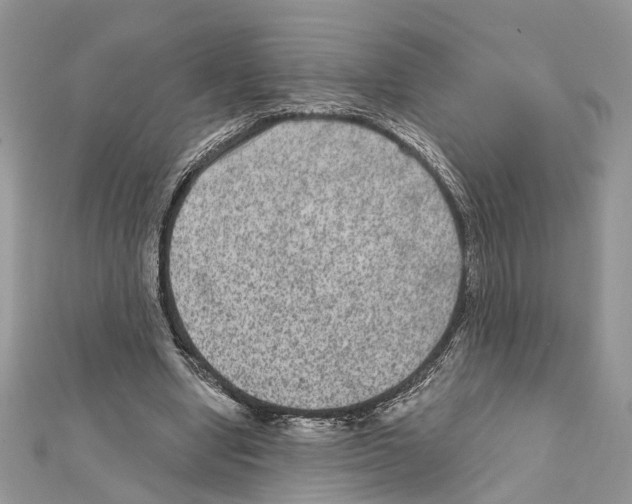 X0000111640442200908281201