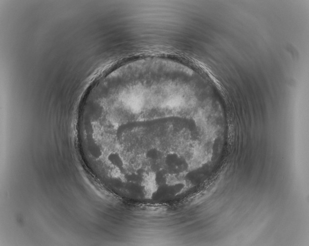 X0000111640443200908281201