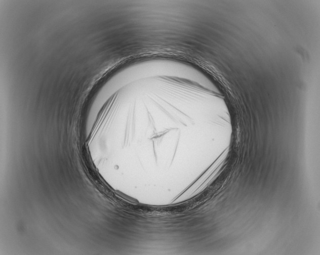 X0000111640444200908281201