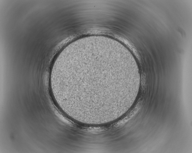 X0000111640445200908281201