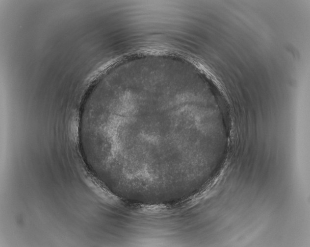 X0000111640446200908281201
