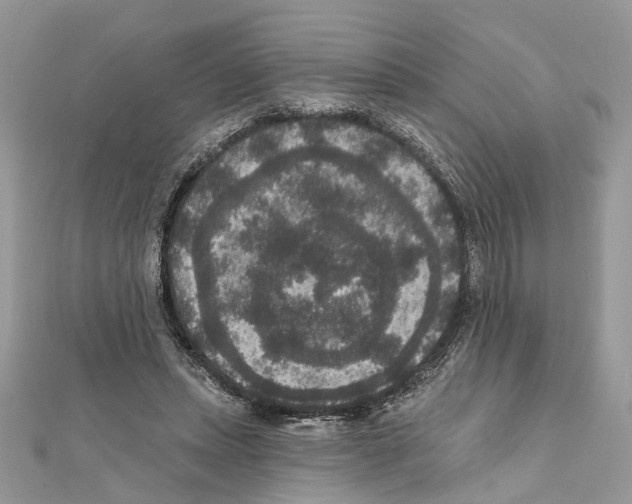 X0000111640447200908281201