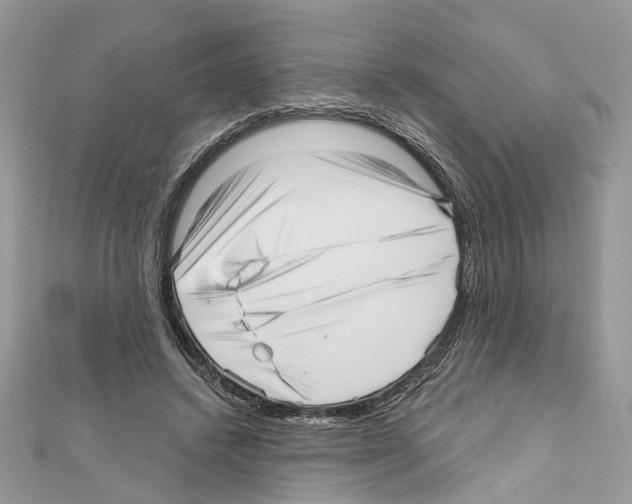 X0000111640448200908281201