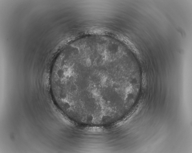 X0000111640449200908281201