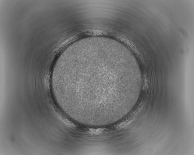 X0000111640450200908281201