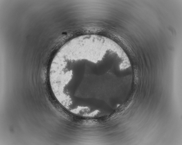 X0000111640451200908281201